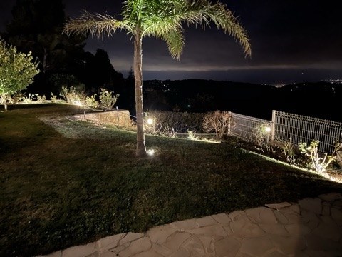 Palmier et jardin illuminés face à la baie