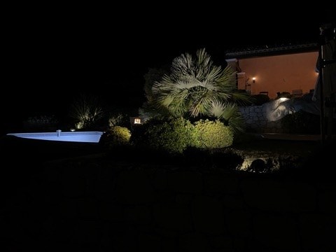 Piscine et palmier, élégance d'une nuit d'été